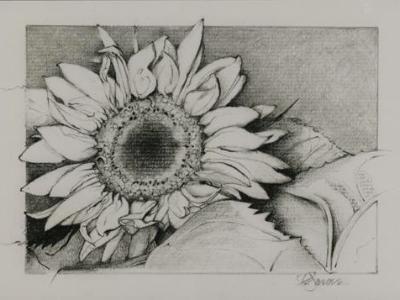 Sunflower I
