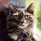 Portraits: The Cats