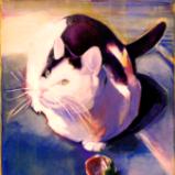 Portraits: The Cats